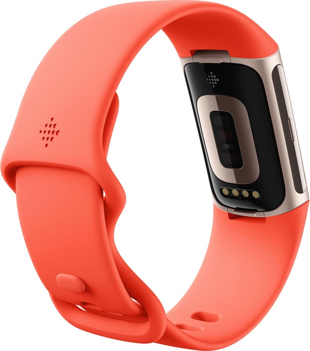 Image du produit Fitbit Charge 6 (36.73 mm)
