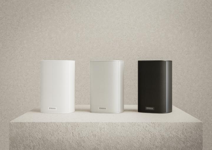 Actual product image Piega Ace 30 Wireless RX