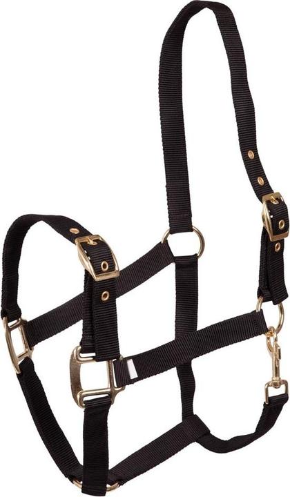 Produktbild Premiere Equitation