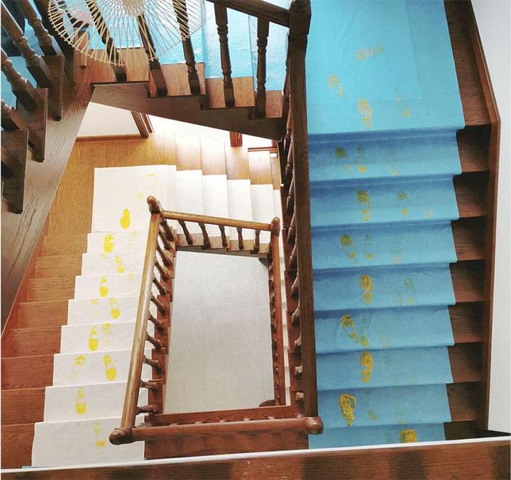 Image du produit Malerkönig Abdeckvlies 120g/m2 50x1m (50 m, 1000 mm)