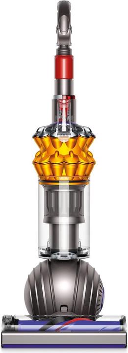 Actual product image Dyson Small Ball Multifloor