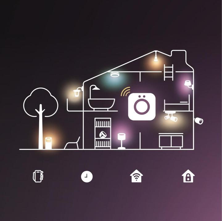 Productafbeelding Philips Hue Flux gradiënt (RGBW, Veelkleurig, 300 cm, Interieur)