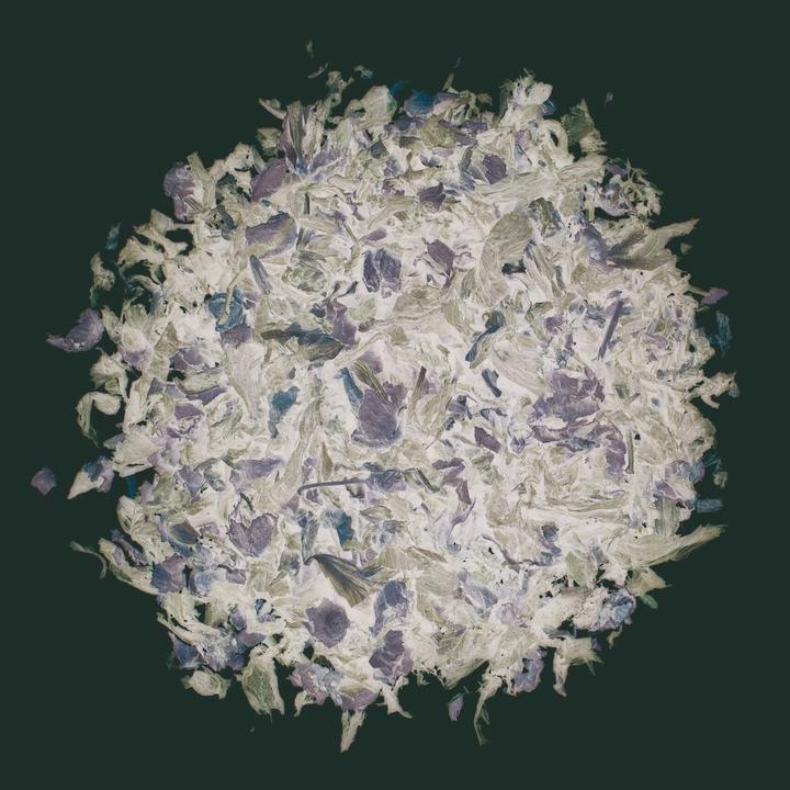 Image du produit Glorex Fleurs