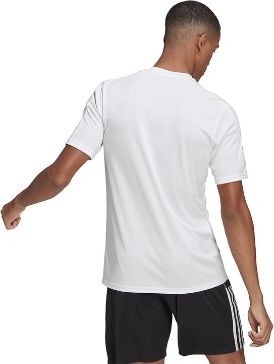 Actual product image adidas Squadra 21 Jersey Short Sleeve (XS)