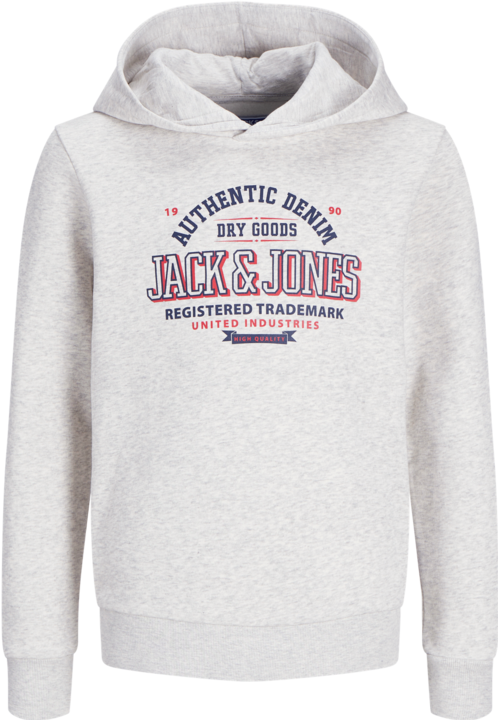 Actual product image Jack & Jones JJELOGO SWEAT HOOD 2 COL 24/25 NOOS JNR (152)