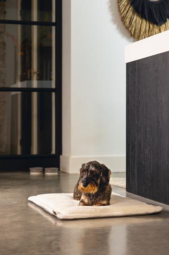 Produktbild Designed by Lotte Nalino (Hund)