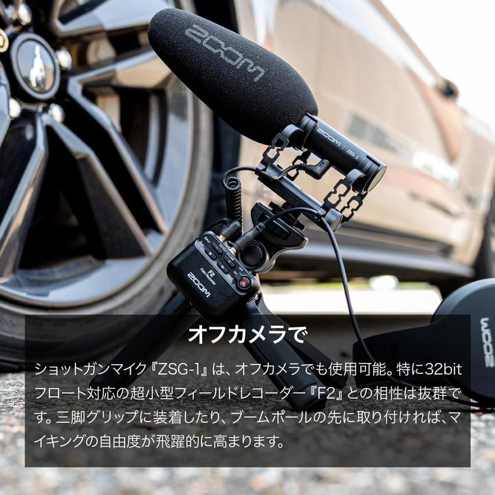 Actual product image Zoom ZSG-1