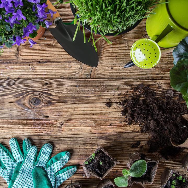 Actual product image Lantelme Garden tool set