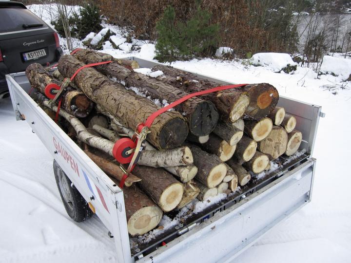 Produktbild Kerbl Quickloader Automatikzurrgurt 600/1200kg, 4,5m, Spitzhaken