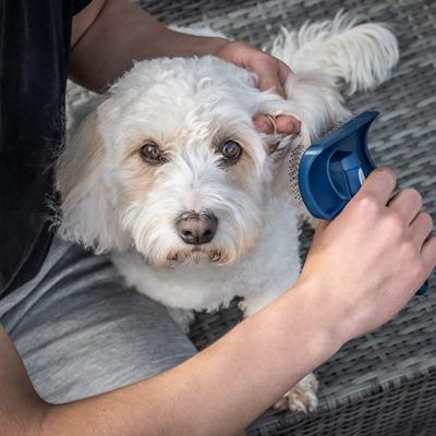 Produktbild Mikki Doodle Slickerborstel