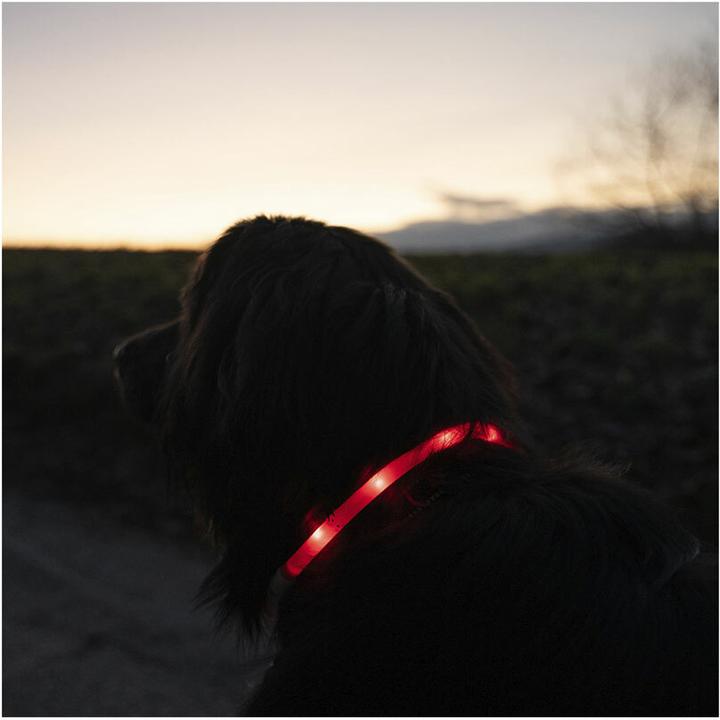 Produktbild Flamingo Leuchthalsband Nera Visio rot (Hund, Allgemein)