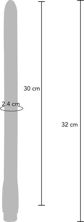 Produktbild ToyJoy Analdusche "The Gusher" Medium