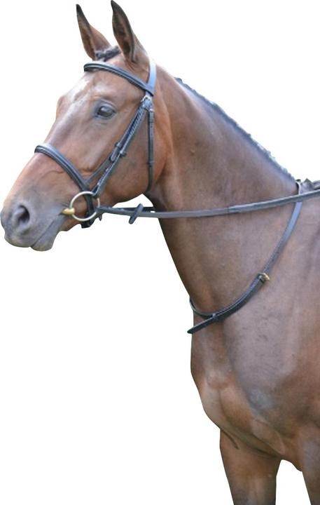 Produktbild Hy Halsriemen Leder