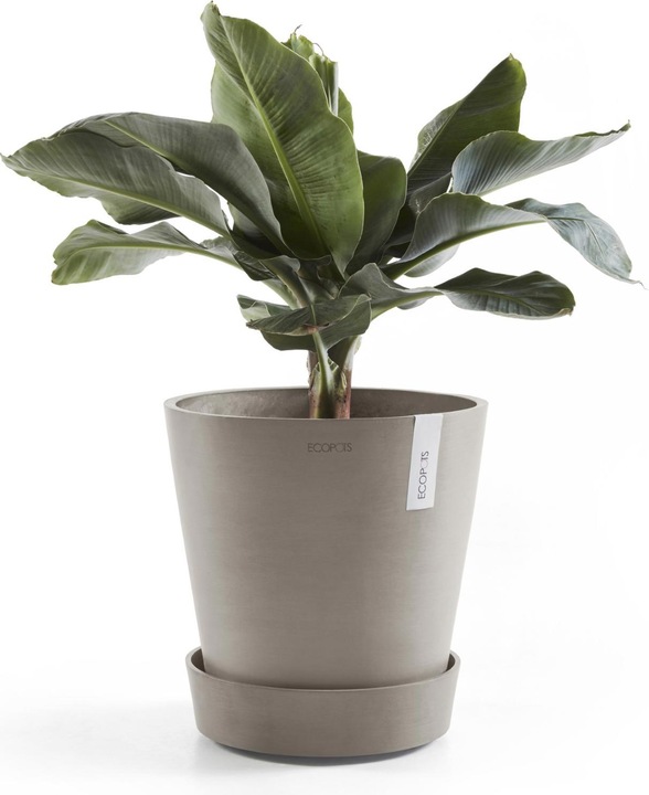 Actual product image Ecopots Saucer on Wheels