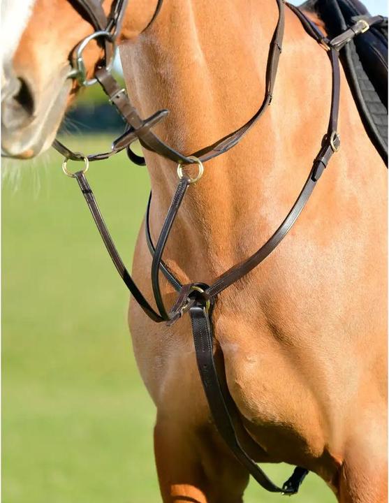 Kincade Plastron à 3 points avec martingale de course