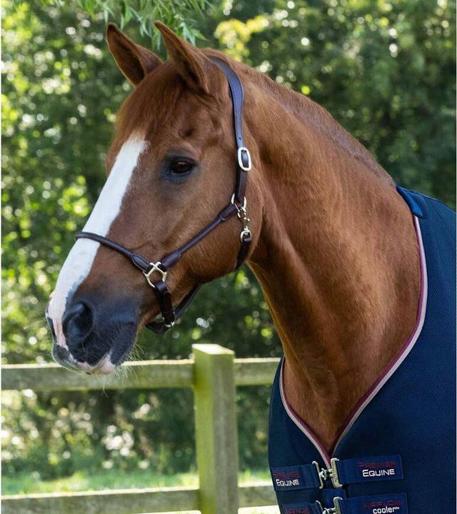 Image du produit Premier Equine Airflow Cooler (198 cm)