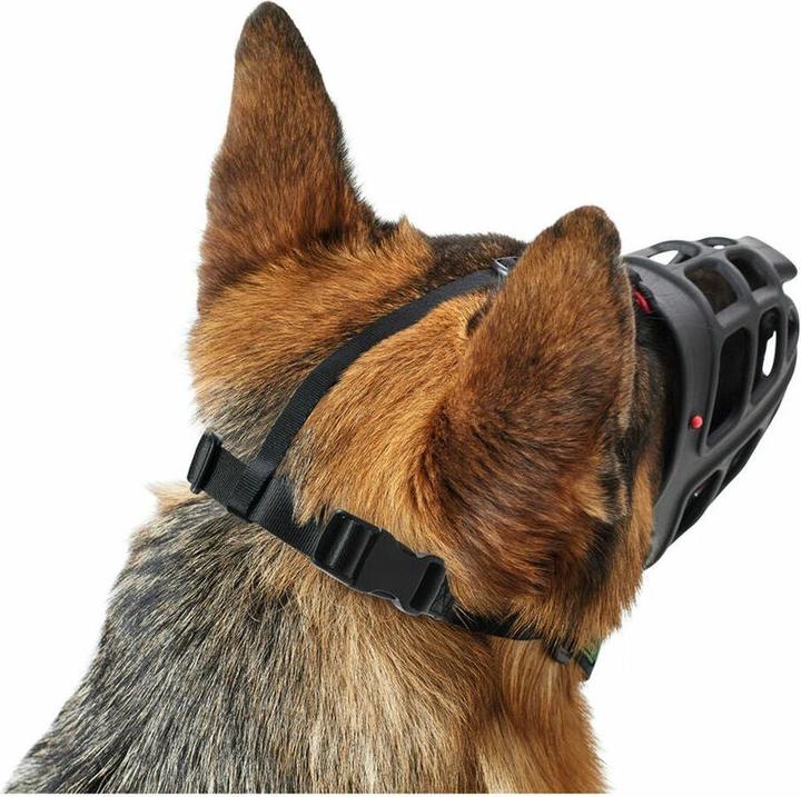 Actual product image Hunter Albury - Muzzle - 5 (5, Dog, Walks)
