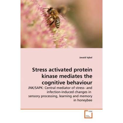 Stress activated protein kinase mediates the cognitive behaviour, Fachbücher von Javaid Iqbal