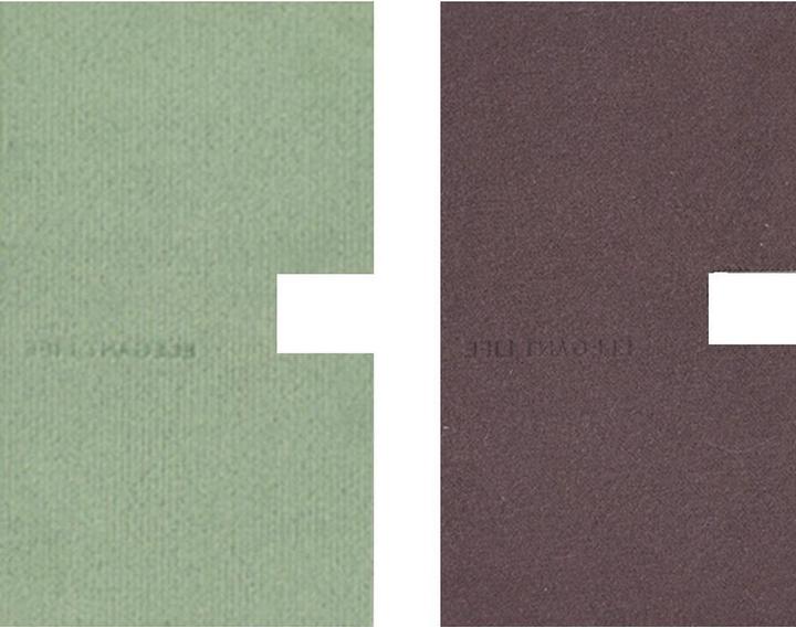 Actual product image VSGO Digital Screen Mwah Wipes Green