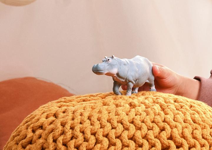 Image du produit Schleich Flusspferd