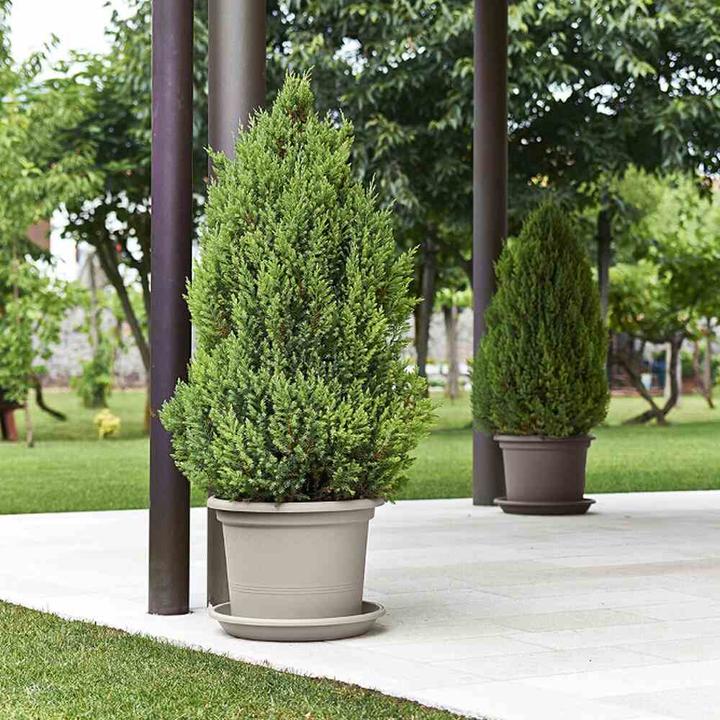 Actual product image Euro3plast Coaster Medea, suitable for bucket Ø 25 cm, Ø 24x3,7 cm, made of plastic in beige