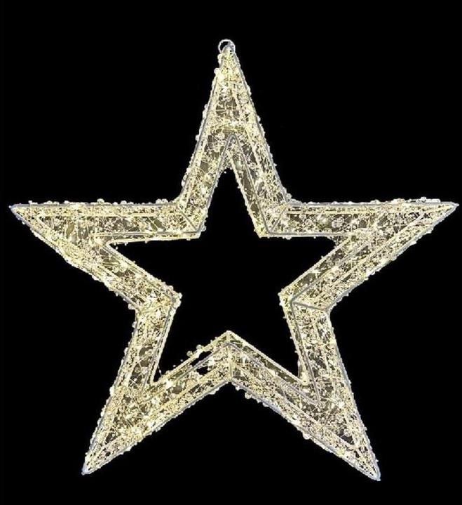 Image du produit Dameco LED Stern Weiss Outdoor, 50 cm x 8