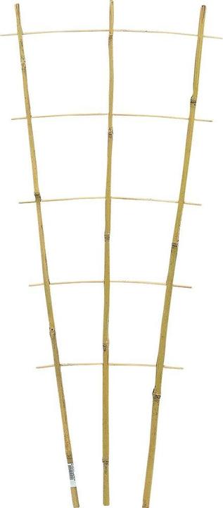 Image du produit Siena Garden Pflanzenhalter (85 cm, 33 cm)