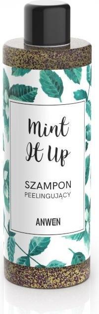Produktbild Anwen Mint It Up Hair Scrub Shampoo (200 ml, Flüssiges Shampoo)