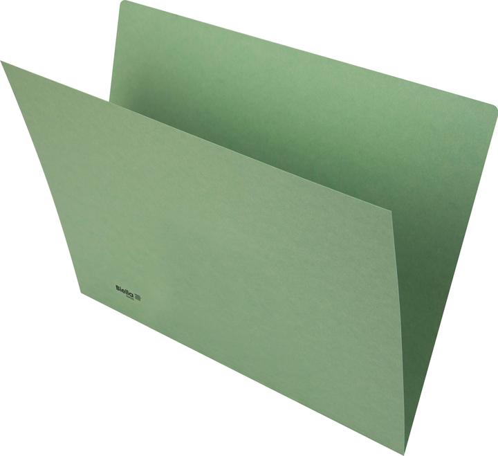 Immagine prodotto Biella Cartelle verticali (A4, 100x)