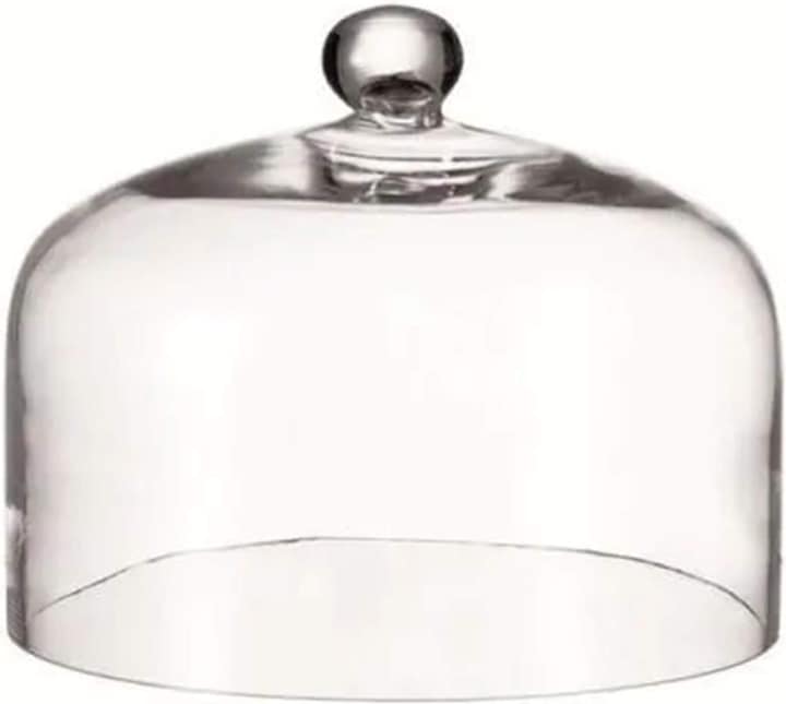Actual product image Leonardo Cupola