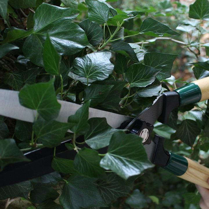 Produktbild Siena Garden Heckenschere mit Wellenschl. (Manuell)