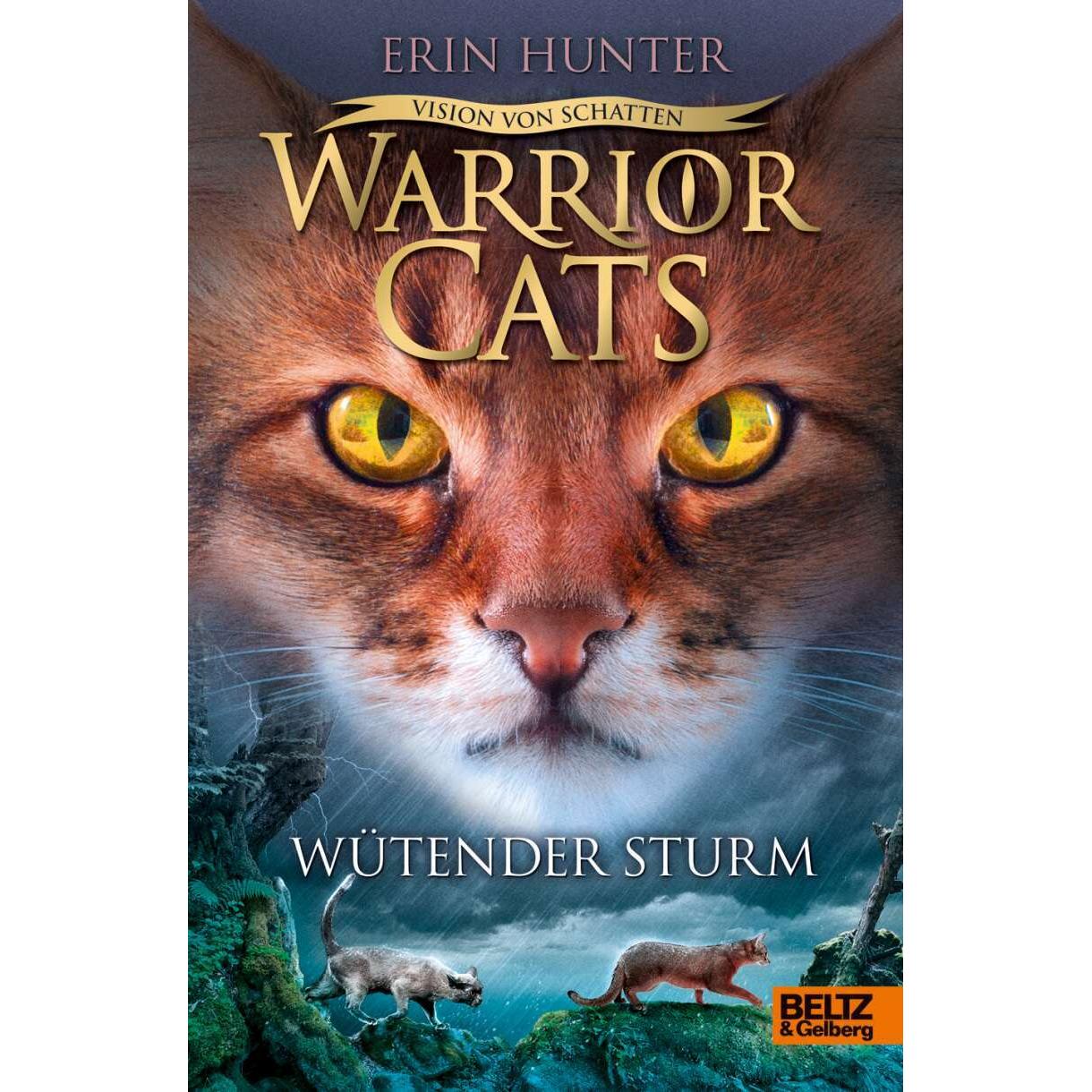 Warrior Cats - Vision von Schatten. Wütender Sturm, Kinderbücher von Erin Hunter, Friederike Levin