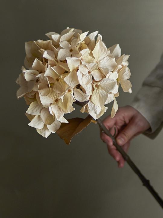 Immagine prodotto Bloomingville Hydrangea (65 cm)