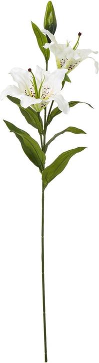 Immagine prodotto Hill Interiors Kunstblume Spray (87 cm)