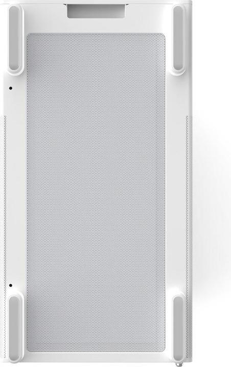 Immagine prodotto Zalman P10 Bianco Micro-ATX Mini Tower (Mini-ITX, ATX)