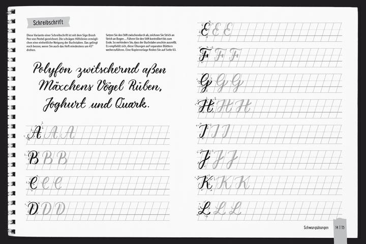 Produktbild Handlettering All you need. Das Übungsbuch (Deutsch, frechverlag, 2020)