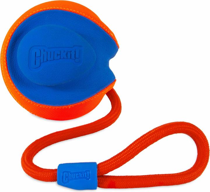 Immagine prodotto Chuckit! Giocattoli per cani (Palla giocattolo per cani)