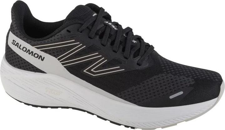 Actual product image Salomon Aero Blaze 472089 47 1/3 (12)