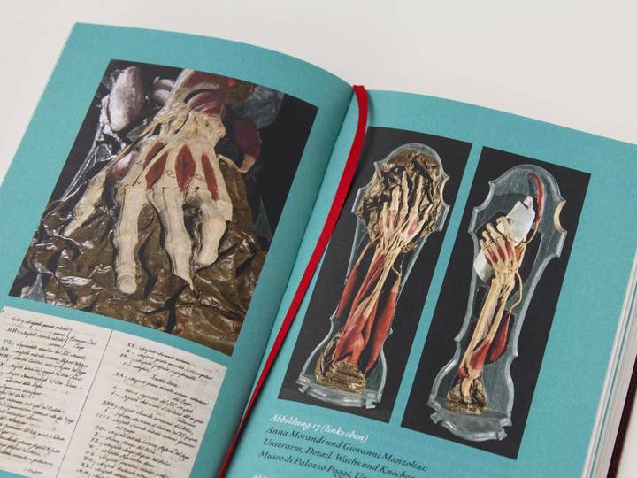 Produktbild Signora Ann, Anatomin der Aufklärung (Deutsch, Rebecca Messbarger, 2015)