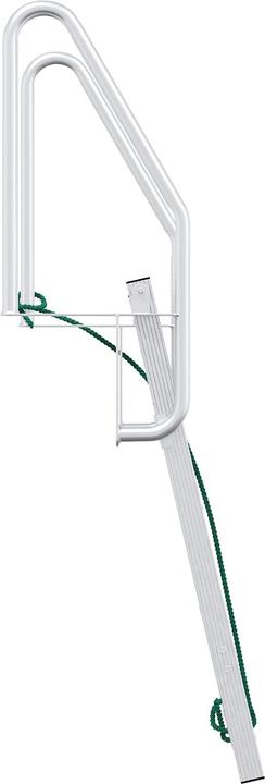 Actual product image vidaXL Dockleiter