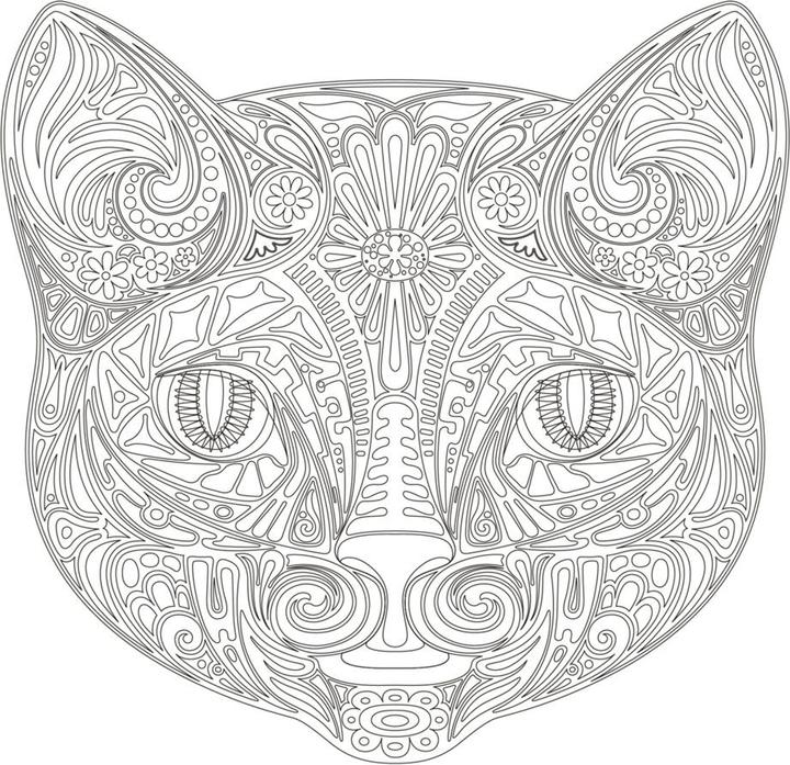 Produktbild Achtsam & Kreativ. Katzen