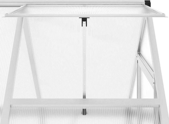 Immagine prodotto vidaXL Gewächshaus