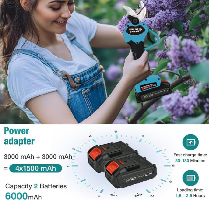 Image du produit Bilivry Elektrische Astschere mit 2 Akkus und Sicherheitsverriegelung