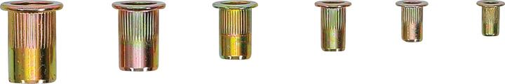 Actual product image BGS Rivet nut range