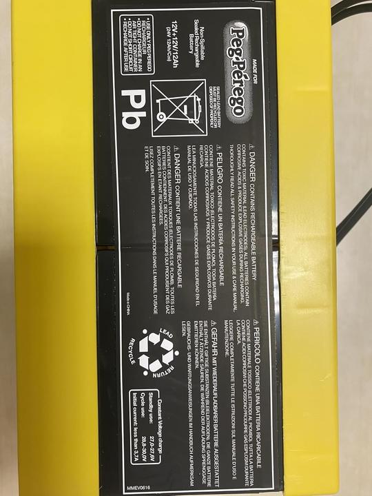 Actual product image Peg Perego Toys Battery (24 V)