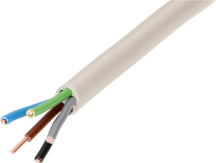 Image du produit Max Hauri Câble TT CH-N1VV-U5G (10 m)