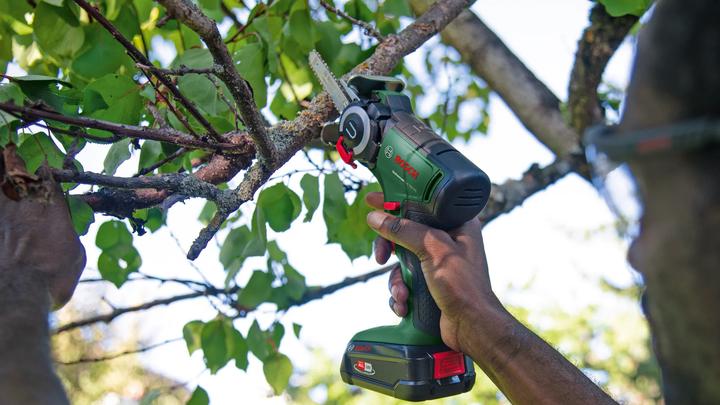 Actual product image Bosch Home & Garden UniversalCut 18V-65