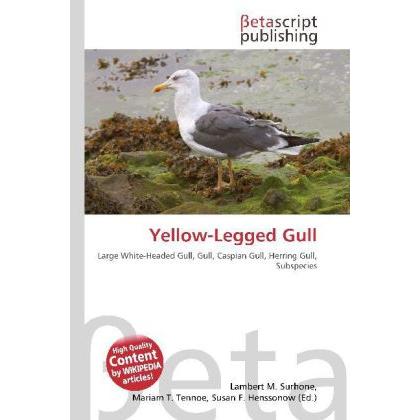 Yellow-Legged Gull, Fachbücher von Lambert M. Surhone, Susan F. Henssonow, Mariam T. Tennoe