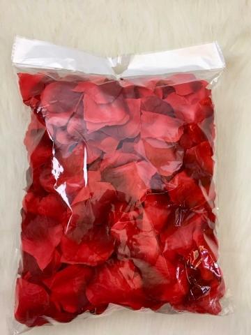 Image du produit Partydeco Roses à bord sombre (500 pcs)