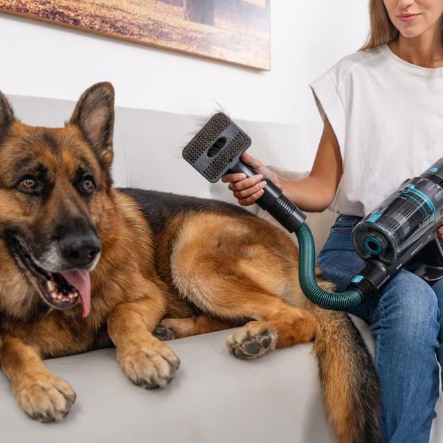 Produktbild Cecotec Conga Staubsauger Rockstar 2500 Thunder